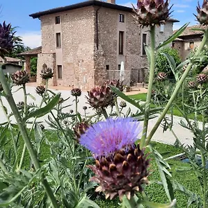 Alloggio per agriturismo Corte Davini, Monzambano