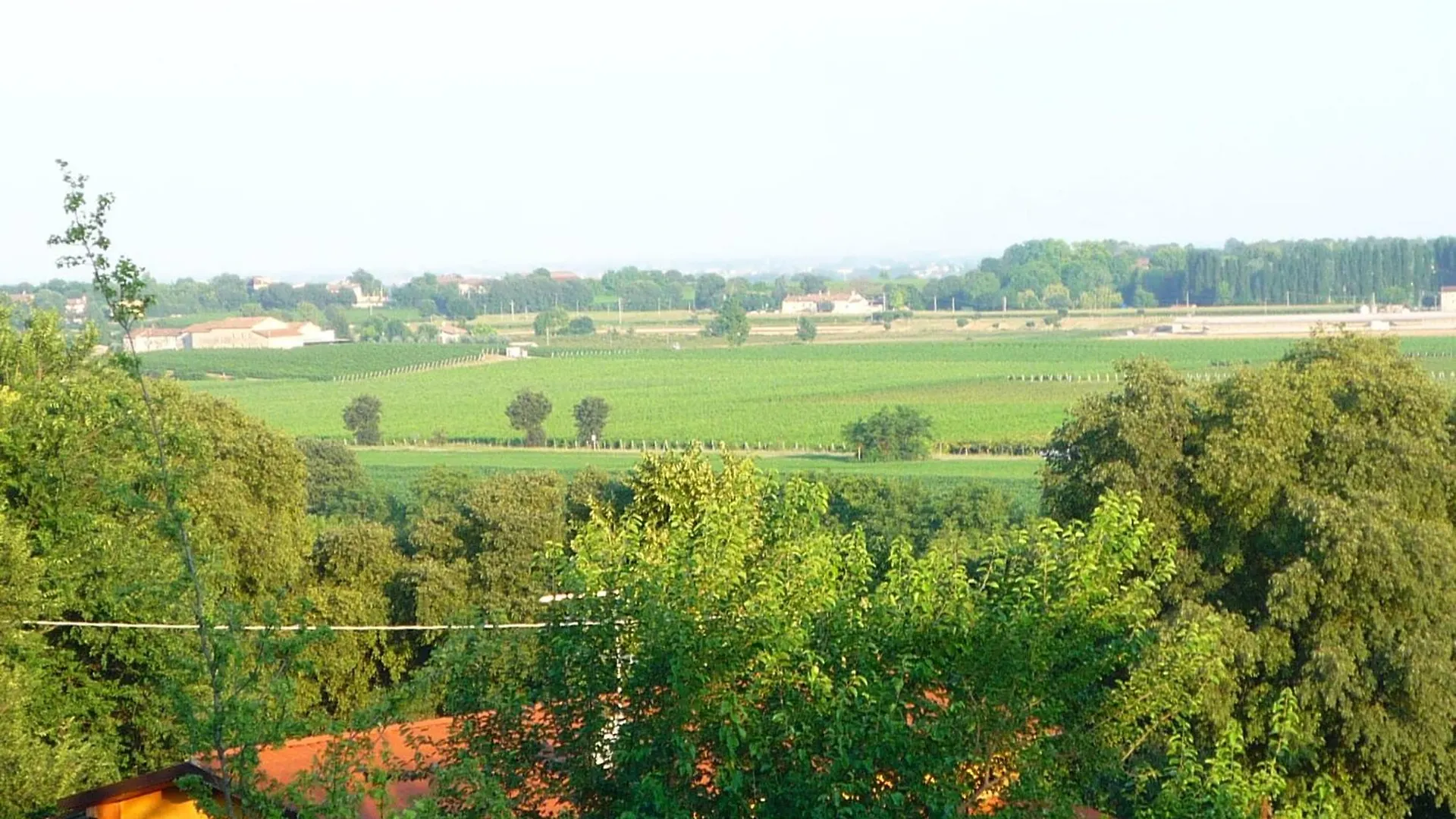 Agriturismo Lupo Bianco Monzambano