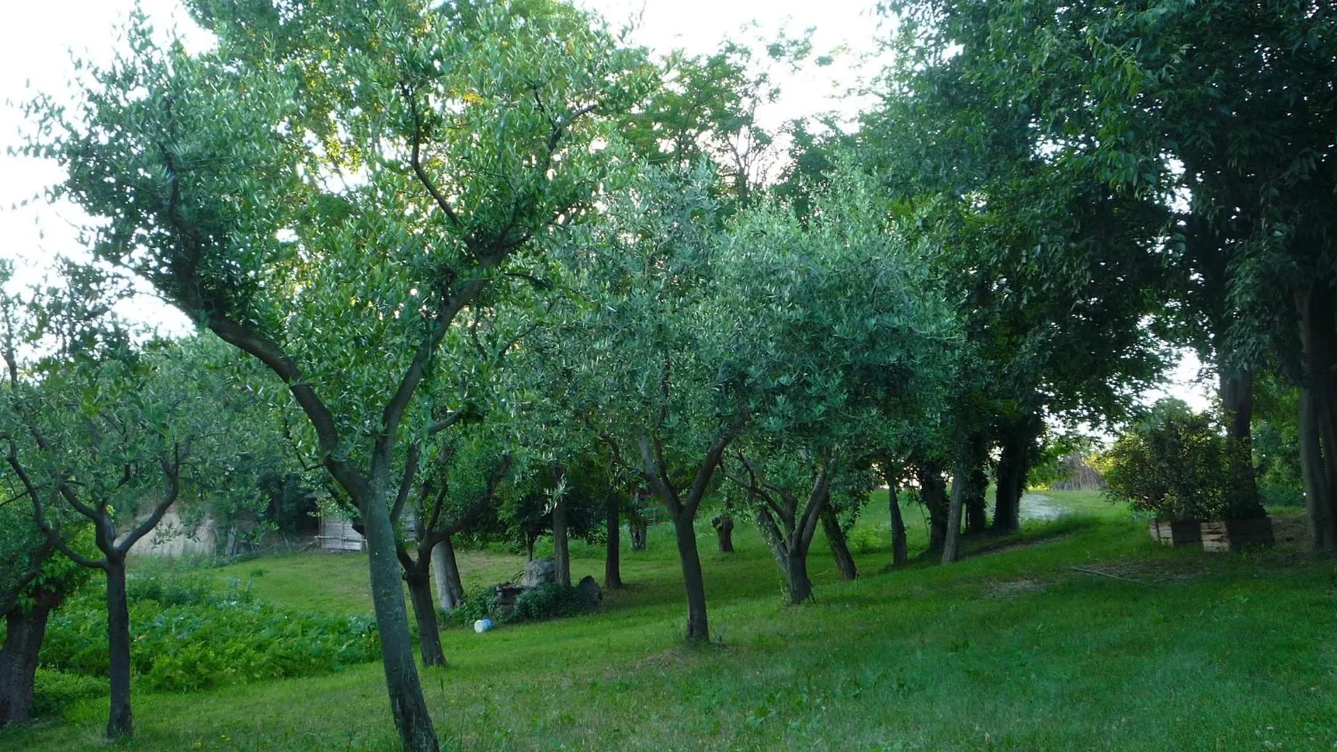 Agriturismo Lupo Bianco Monzambano Włochy