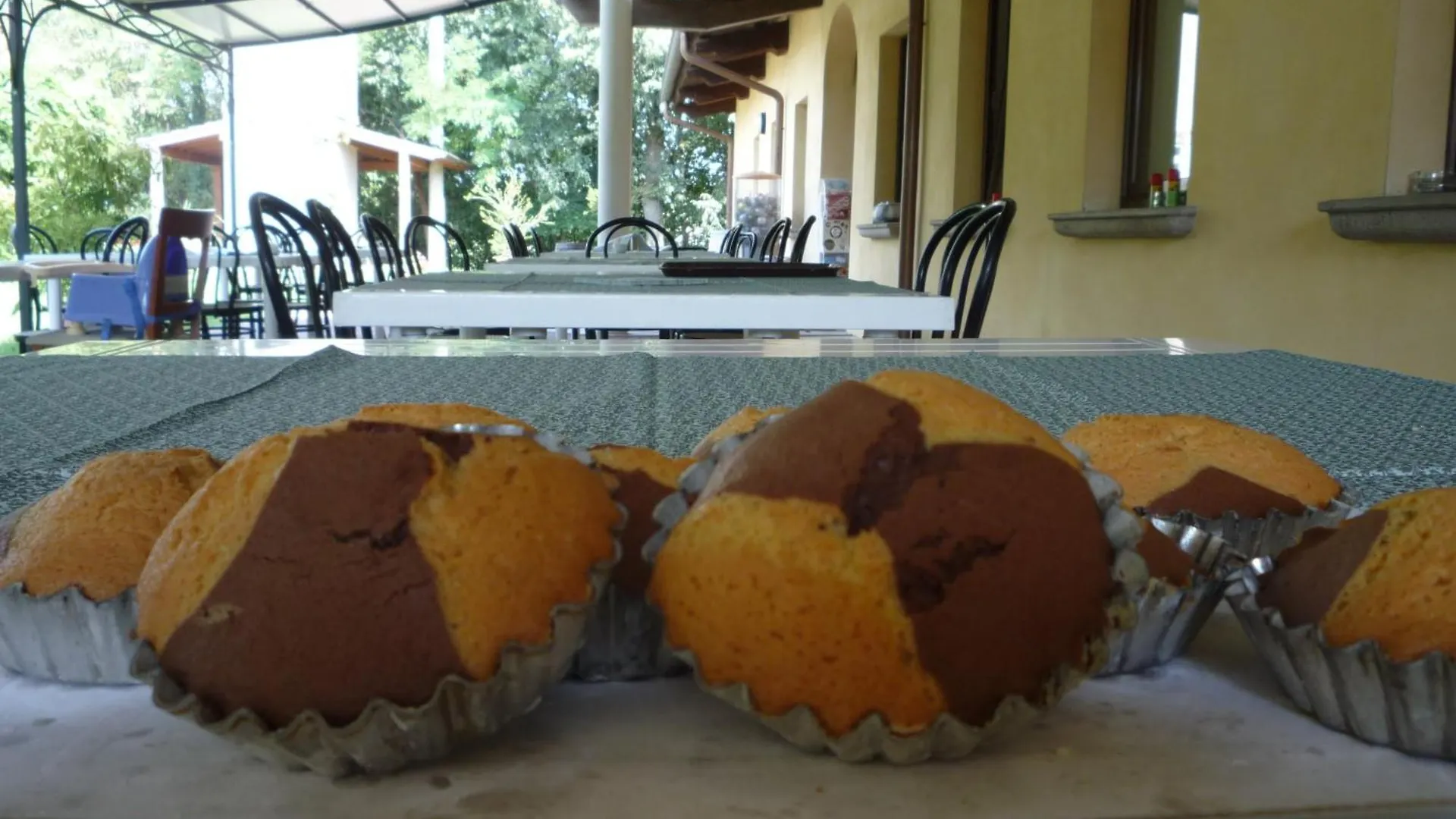 Gospodarstwo agroturystyczne Agriturismo Lupo Bianco Monzambano